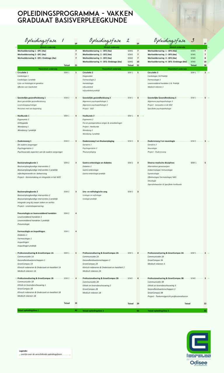 Schematische voorstelling van het opleidingsprogramma van de richting Graduaat Basisverpleegkunde.